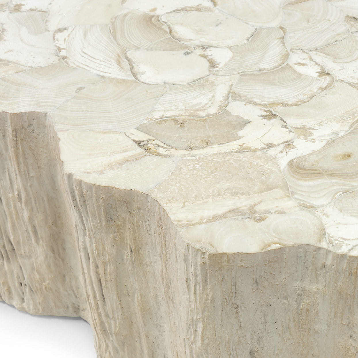 palecek camilla fossilized clam coffee table detail