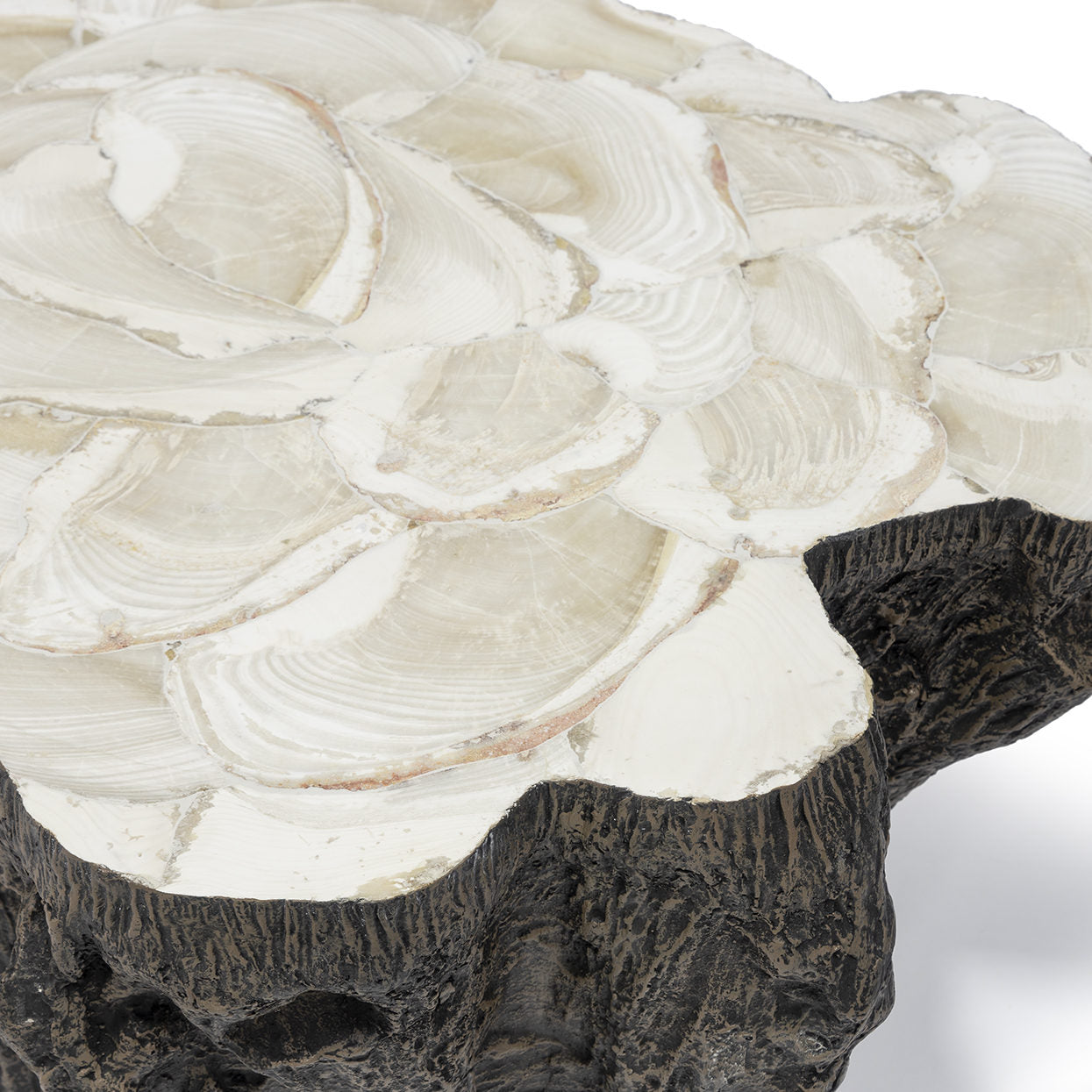 Chloe Fossil Clam Lava Coffee Table detail