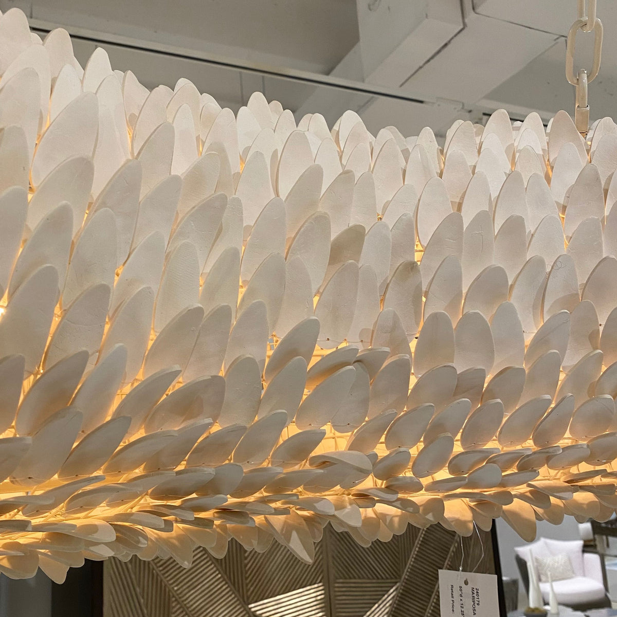 Palecek Mariposa Chandelier Off White Coco Shell – CLAYTON GRAY HOME