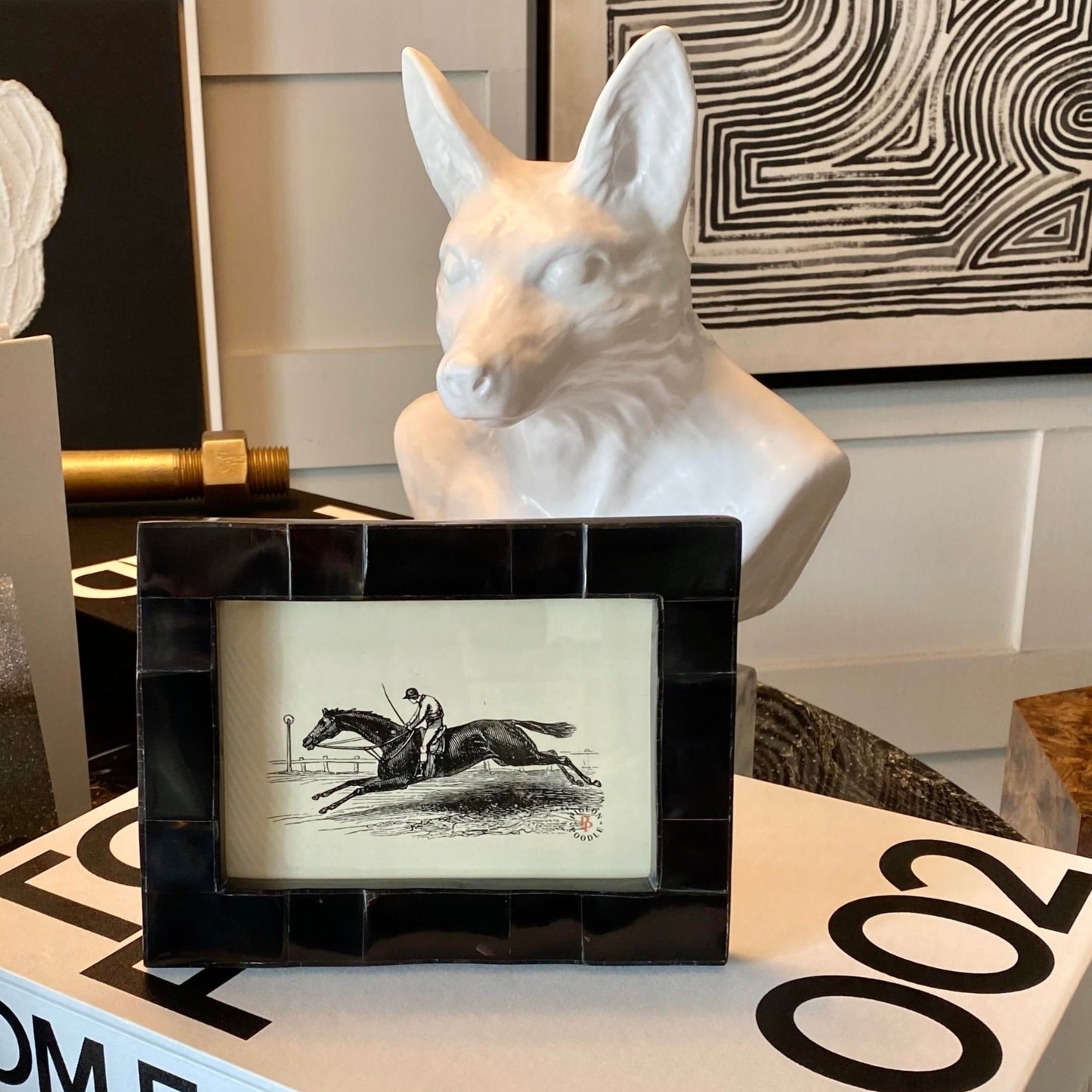 Photo of pigeon and poodle lesina frame on table with books