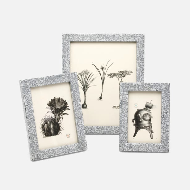 pigeon and poodle westport frame eggshell silver and white sizes